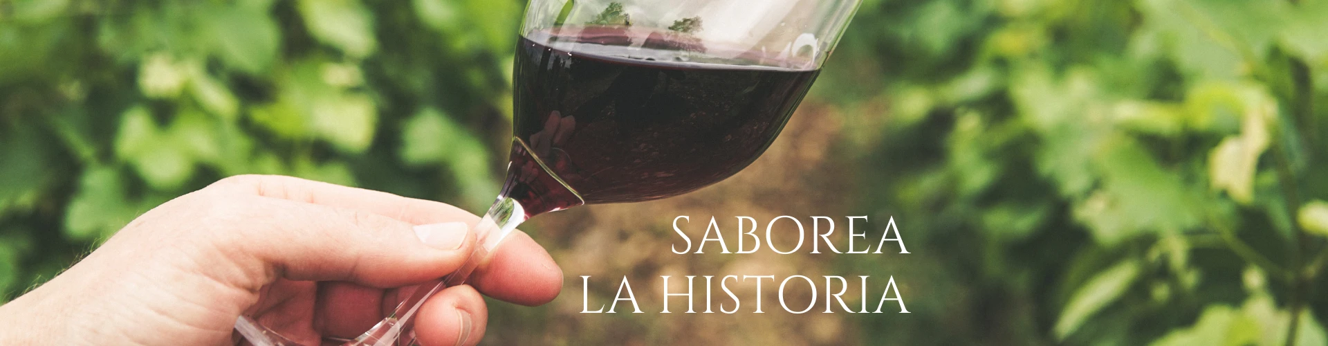 Saborea la historia
